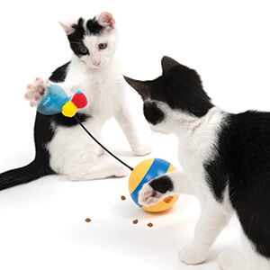 Toys that Play Well